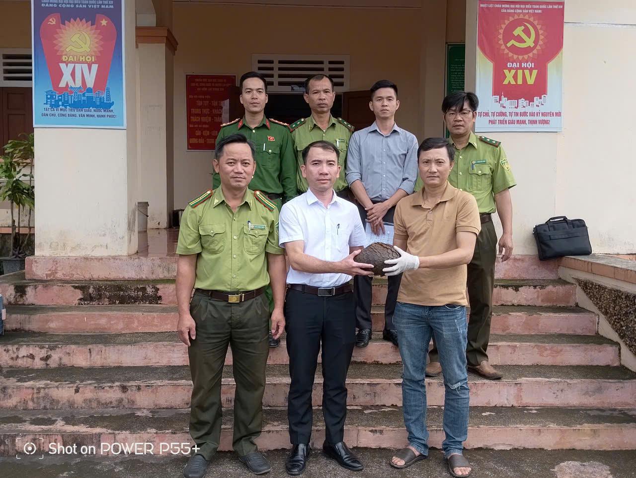 Bàn giao cá thể tê tê Java để cứu hộ, chăm sóc và phục hồi sức khỏe